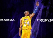 PG电子娱乐在线-克罗地亚的坚韧与福登的闪耀，当团队意志战胜天赋神话