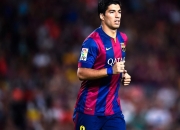 PG平台-逆境之翼，拉梅洛在鹰狼对决压力下的涅槃时刻