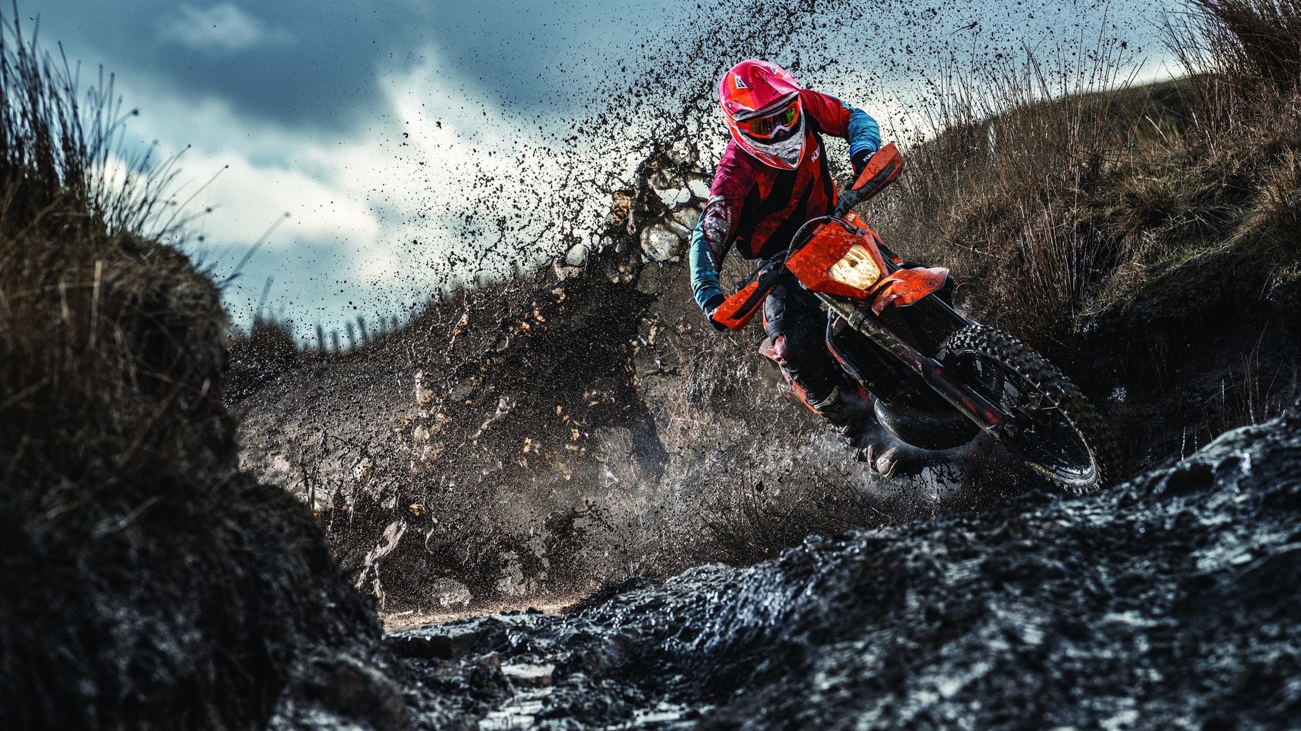 范戴克状态火热难挽狂澜，哥伦比亚绝杀荷兰的战术启示